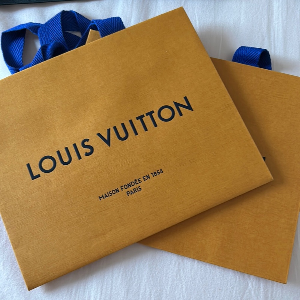 Louis Vuitton shopping bag